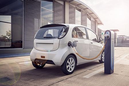 Auch Elektroautos sind Bissgefährdet