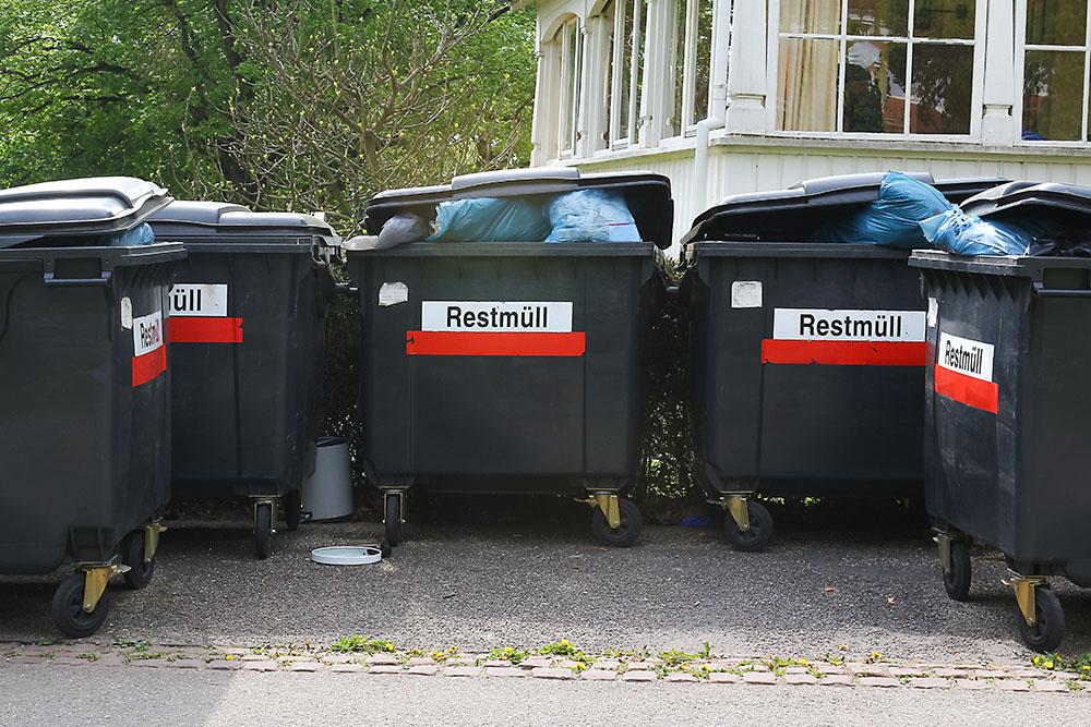 Offene Mültonnen bieten dem Marder eine gute Nahrungsquelle