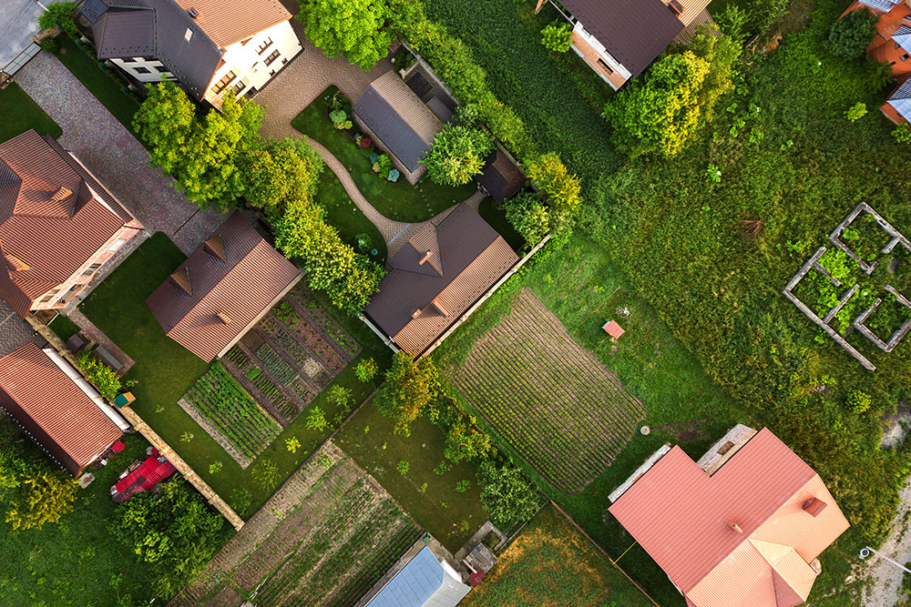 Der Marder im Wohngebiet
